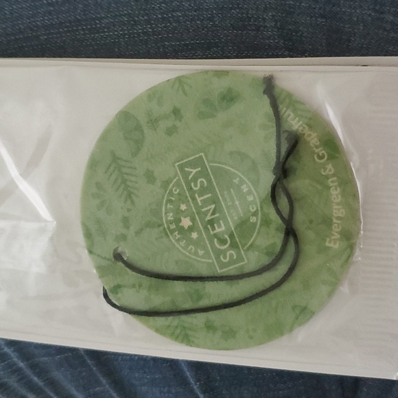 Scentsy Scent Circle - Picture 3 of 3